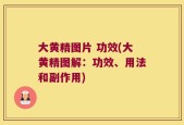 大黄精图片 功效(大黄精图解：功效、用法和副作用)