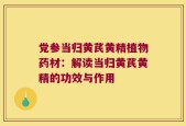党参当归黄芪黄精植物药材：解读当归黄芪黄精的功效与作用