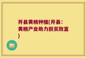 开县黄精种植(开县：黄精产业助力脱贫致富)