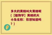 多大的黄精叫大黄精呢(【植物学】黄精的大小及名称：你想知道吗？)
