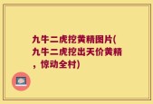 九牛二虎挖黄精图片(九牛二虎挖出天价黄精，惊动全村)