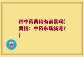 种中药黄精有前景吗(黄精：中药市场新宠？)