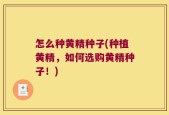 怎么种黄精种子(种植黄精，如何选购黄精种子！)