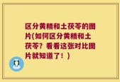 区分黄精和土茯苓的图片(如何区分黄精和土茯苓？看看这张对比图片就知道了！)