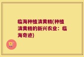临海种植滇黄精(种植滇黄精的新兴农业：临海奇迹)