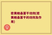 密黄精桑葚干功效(密黄精桑葚干的功效及作用)