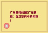 广东黄精的图(广东黄精：自然草药中的明珠)