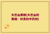 大巴山黄精(大巴山的黄精：珍贵的中药材)