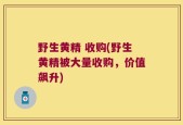 野生黄精 收购(野生黄精被大量收购，价值飙升)