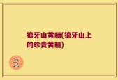 狼牙山黄精(狼牙山上的珍贵黄精)