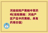 河南安阳产黄精中草药吗(安阳黄精：河南产区产出中药黄精，具有药用价值)