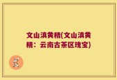 文山滇黄精(文山滇黄精：云南古茶区瑰宝)