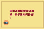雨季滇黄精种植(滇黄精：雨季里如何种植？)