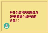 种什么品种黄精最值钱(种黄精哪个品种最有价值？)