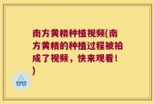 南方黄精种植视频(南方黄精的种植过程被拍成了视频，快来观看！)