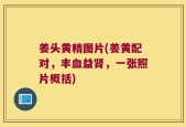 姜头黄精图片(姜黄配对，丰血益肾，一张照片概括)