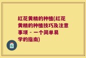 红花黄精的种植(红花黄精的种植技巧及注意事项 - 一个简单易学的指南)