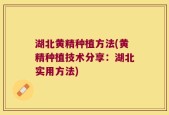 湖北黄精种植方法(黄精种植技术分享：湖北实用方法)