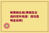 制黄精云南(黄精在云南的世外桃源：探访昆明金丝峡)