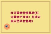 红河黄精种植基地(红河黄精产业园：打造云南天然药材基地)