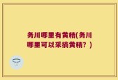 务川哪里有黄精(务川哪里可以采摘黄精？)