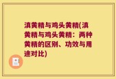 滇黄精与鸡头黄精(滇黄精与鸡头黄精：两种黄精的区别、功效与用途对比)