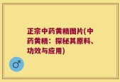 正宗中药黄精图片(中药黄精：探秘其原料、功效与应用)