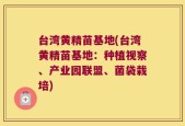 台湾黄精苗基地(台湾黄精苗基地：种植视察、产业园联盟、菌袋栽培)