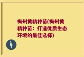 梅州黄精种苗(梅州黄精种苗：打造优质生态环境的最佳选择)