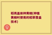 稻壳盖田种黄精(种植黄精时使用的稻草覆盖技术)