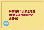 种黄精用什么药水泡苗(黄精苗浸种用何种药水更佳？)