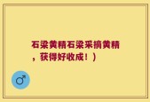 石梁黄精石梁采摘黄精，获得好收成！)