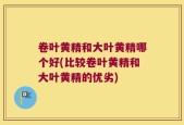 卷叶黄精和大叶黄精哪个好(比较卷叶黄精和大叶黄精的优劣)
