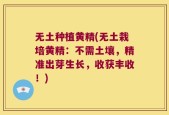 无土种植黄精(无土栽培黄精：不需土壤，精准出芽生长，收获丰收！)