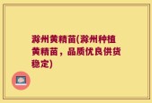 滁州黄精苗(滁州种植黄精苗，品质优良供货稳定)