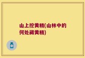 山上挖黄精(山林中的何处藏黄精)