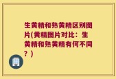 生黄精和熟黄精区别图片(黄精图片对比：生黄精和熟黄精有何不同？)