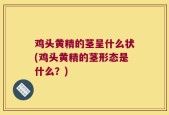 鸡头黄精的茎呈什么状(鸡头黄精的茎形态是什么？)