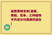 桑椹黄精党参(桑椹、黄精、党参，三种植物中药成分对健康的益处)