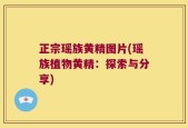 正宗瑶族黄精图片(瑶族植物黄精：探索与分享)
