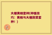 大棚黄精套种(种植技巧：黄精与大棚蔬菜套种！)