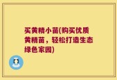 买黄精小苗(购买优质黄精苗，轻松打造生态绿色家园)