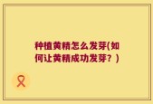 种植黄精怎么发芽(如何让黄精成功发芽？)