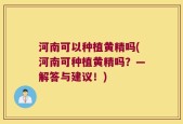河南可以种植黄精吗(河南可种植黄精吗？—解答与建议！)