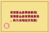 安微霍山县黄精基地(安徽霍山县现黄精基地，助力当地经济发展)