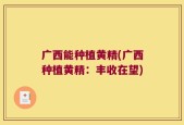 广西能种植黄精(广西种植黄精：丰收在望)