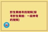 野生黄精寻找视频(探寻野生黄精：一段神奇的视频)