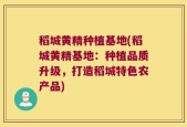 稻城黄精种植基地(稻城黄精基地：种植品质升级，打造稻城特色农产品)