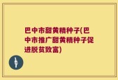 巴中市甜黄精种子(巴中市推广甜黄精种子促进脱贫致富)