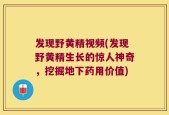 发现野黄精视频(发现野黄精生长的惊人神奇，挖掘地下药用价值)